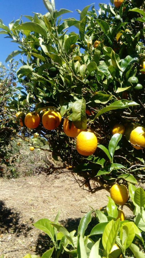 Garafía El Limonero 게스트하우스 외부 사진
